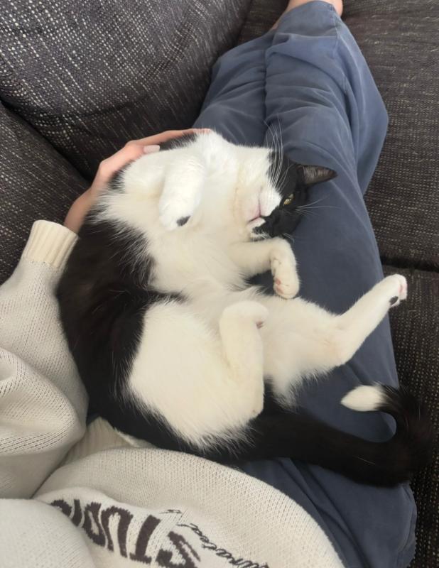 Mimi