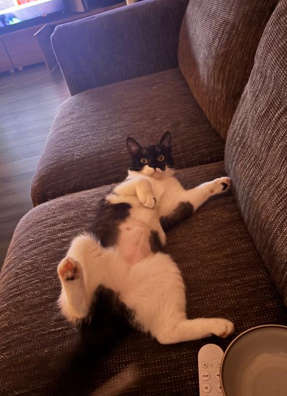 Mimi