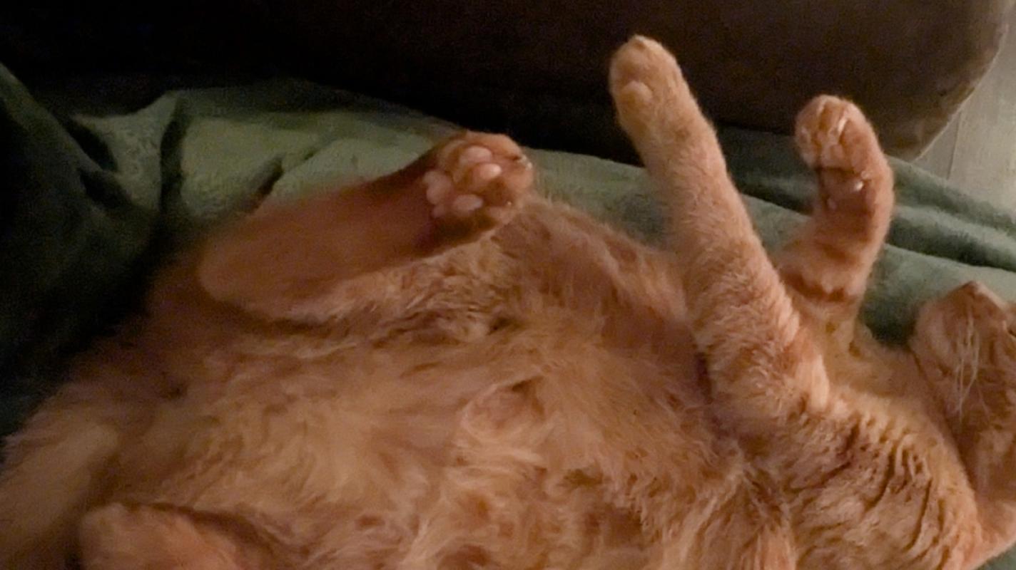 Pip