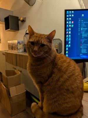 Pip
