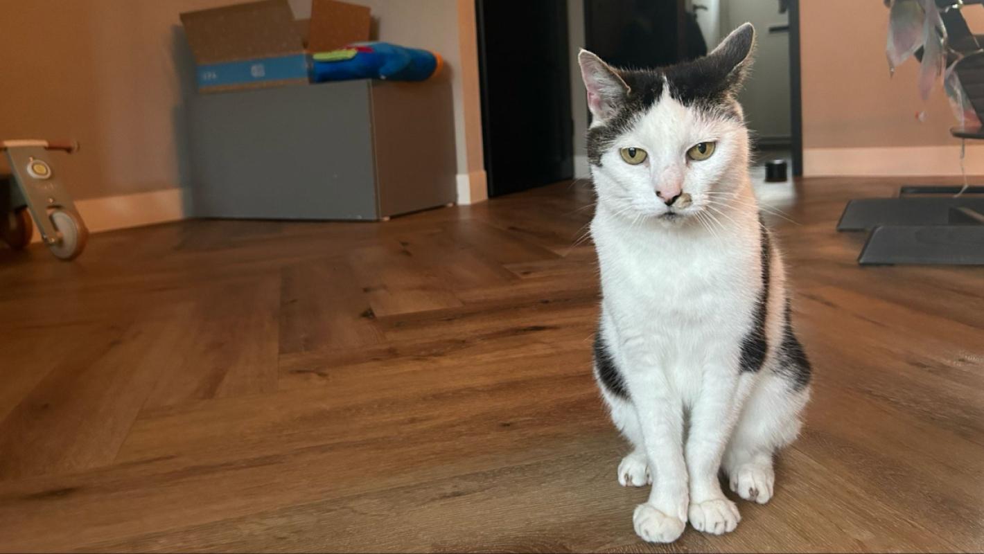 Luna