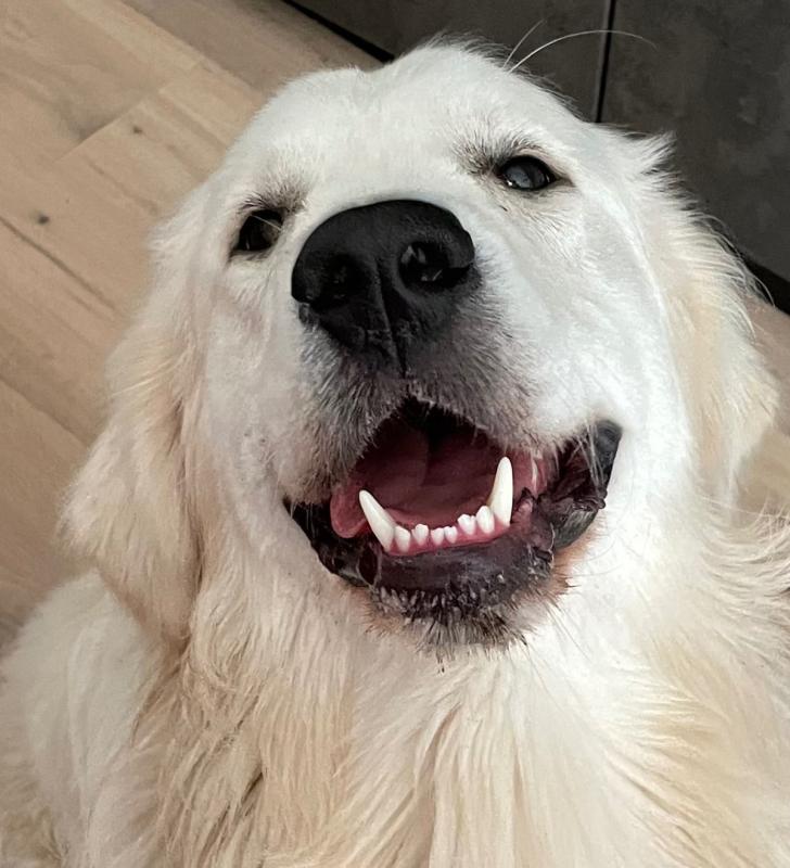 Enzo