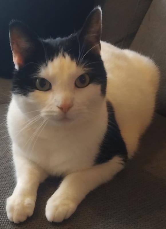 Bella