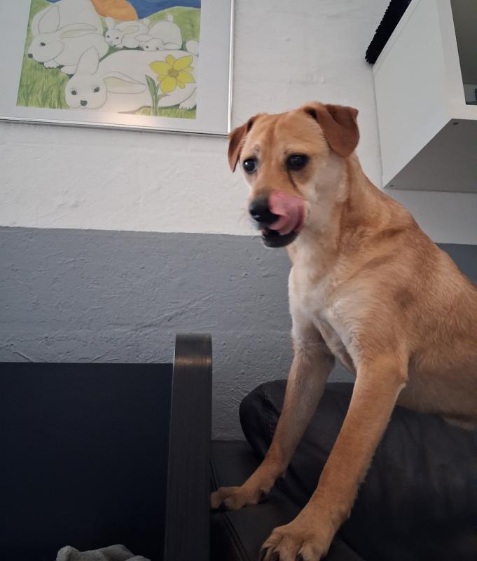 Odin