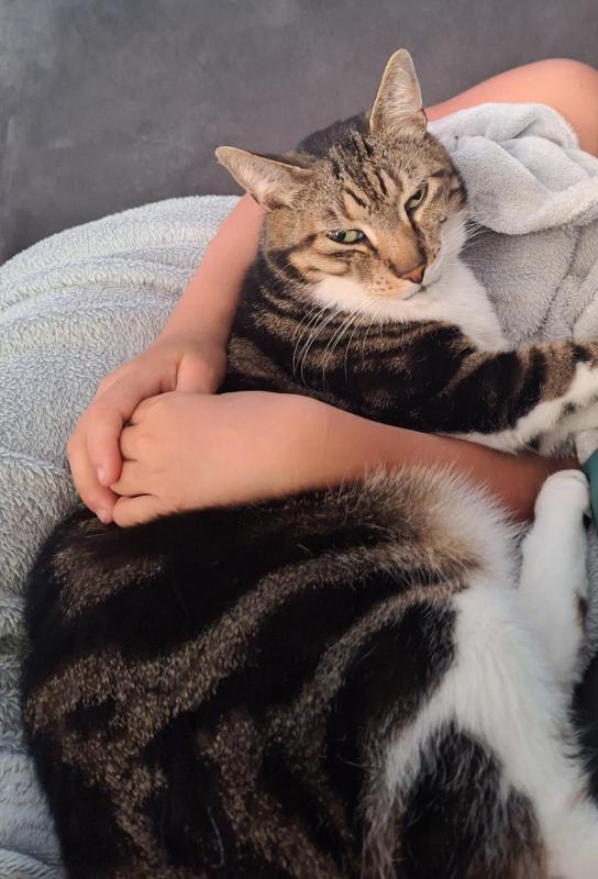 Binkie