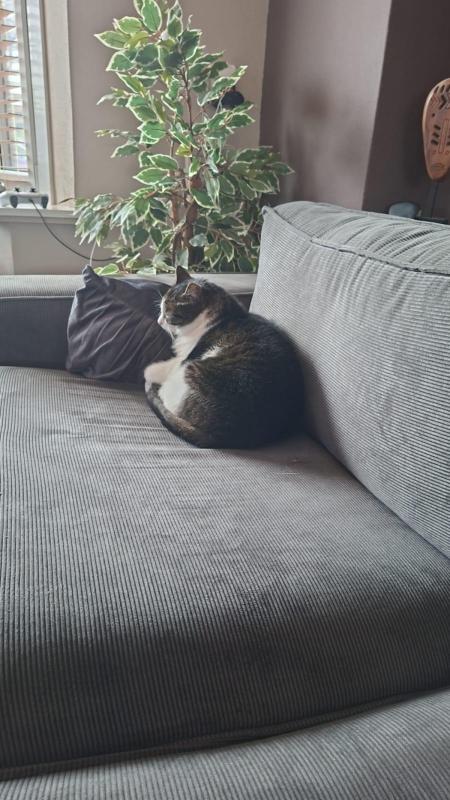 Coco
