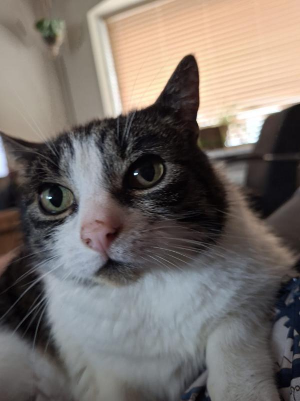 Coco