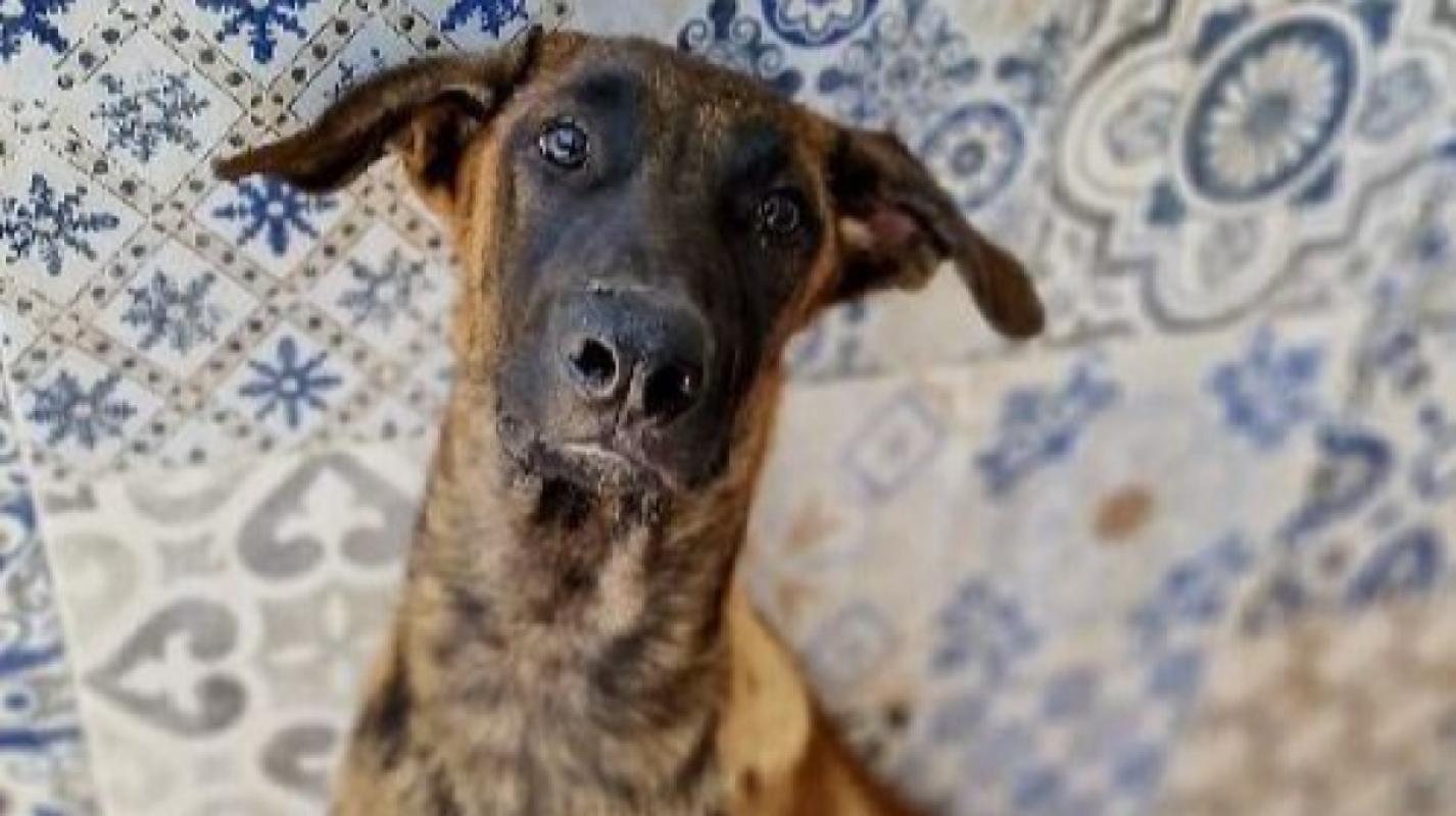 Max