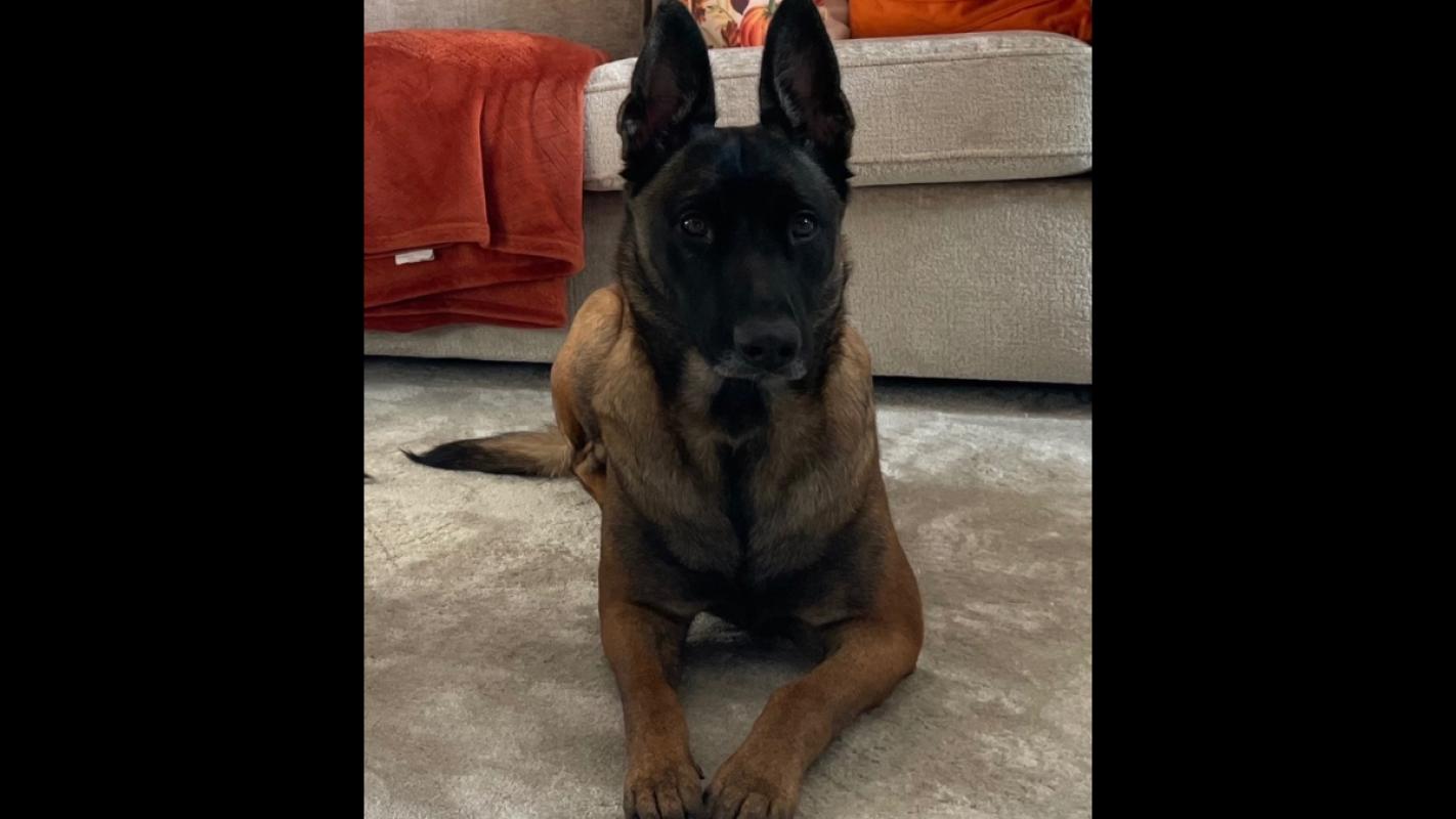 Mia