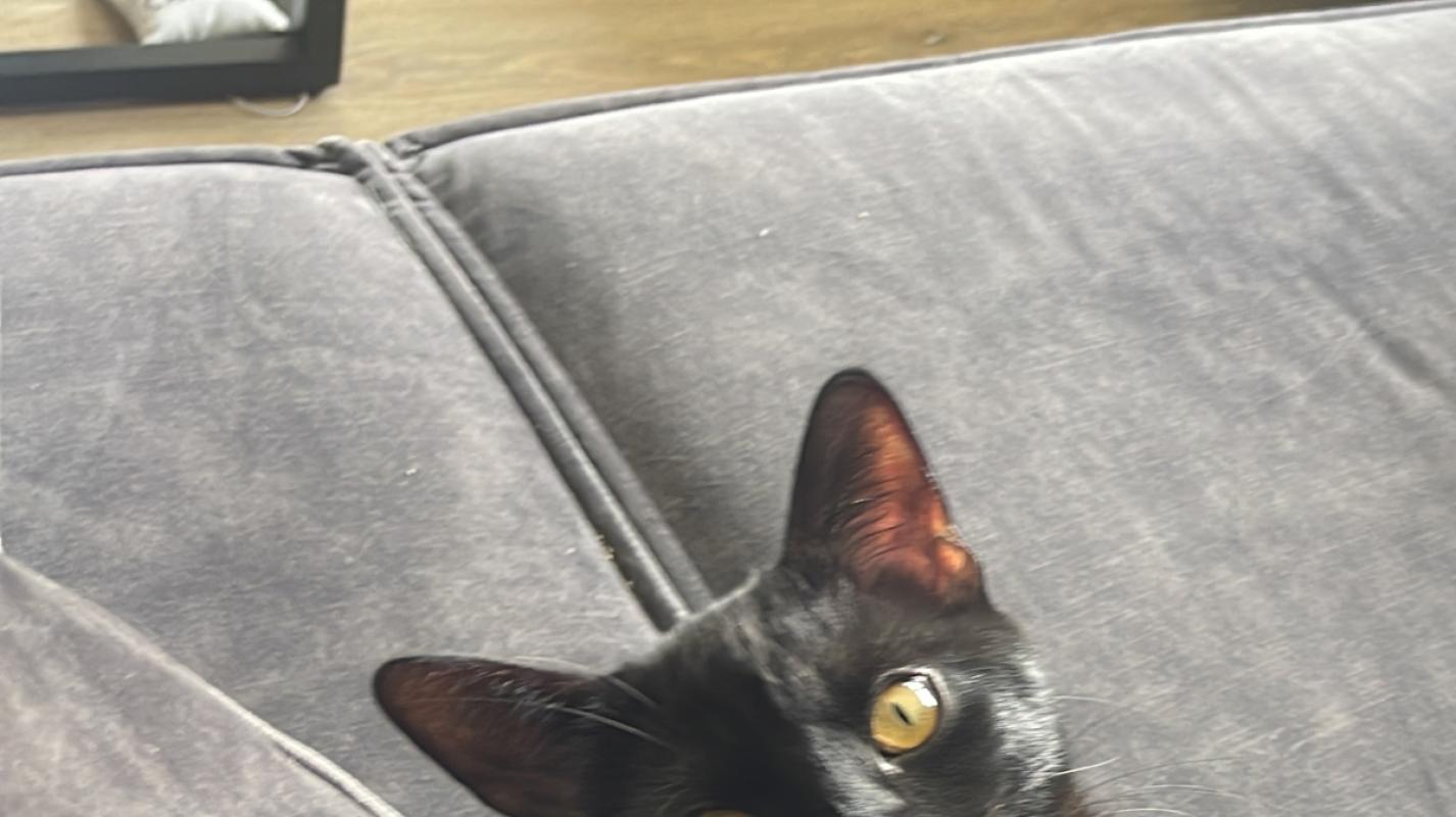 Nalla
