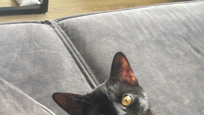 Nalla