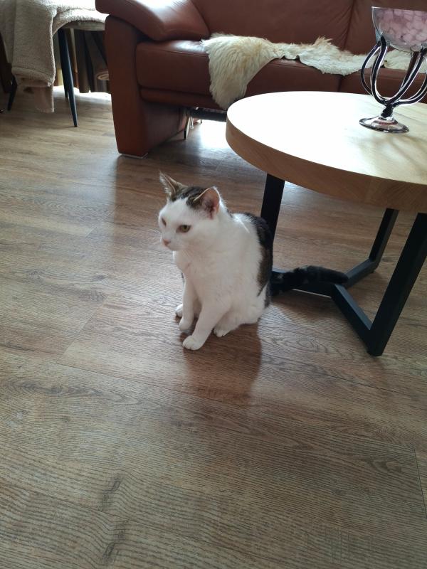 Olivia (Ollie)