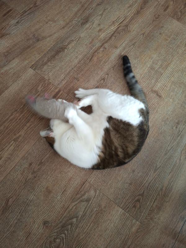 Olivia (Ollie)