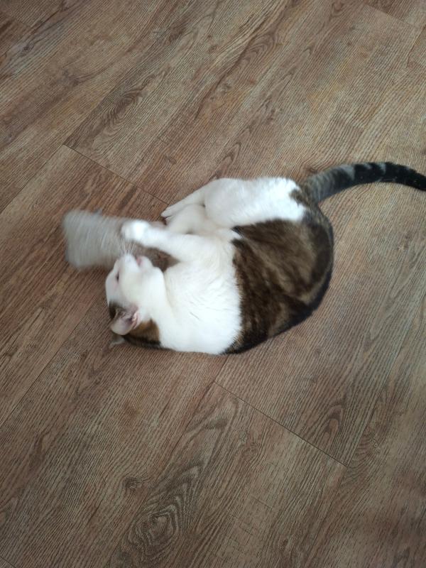 Olivia (Ollie)