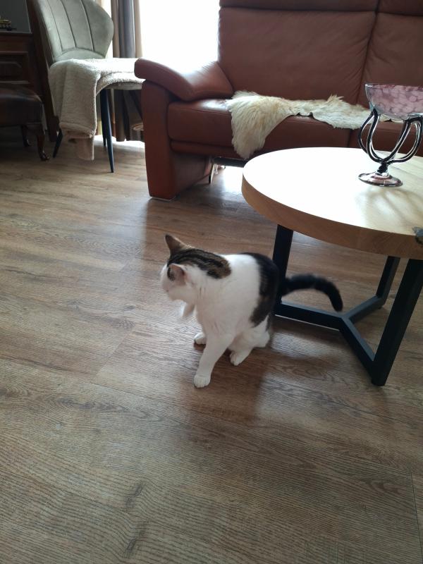 Olivia (Ollie)