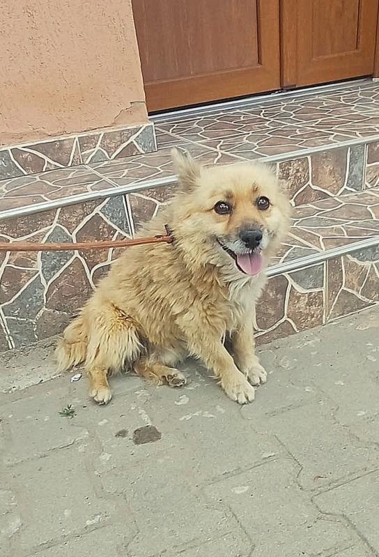 Ricky