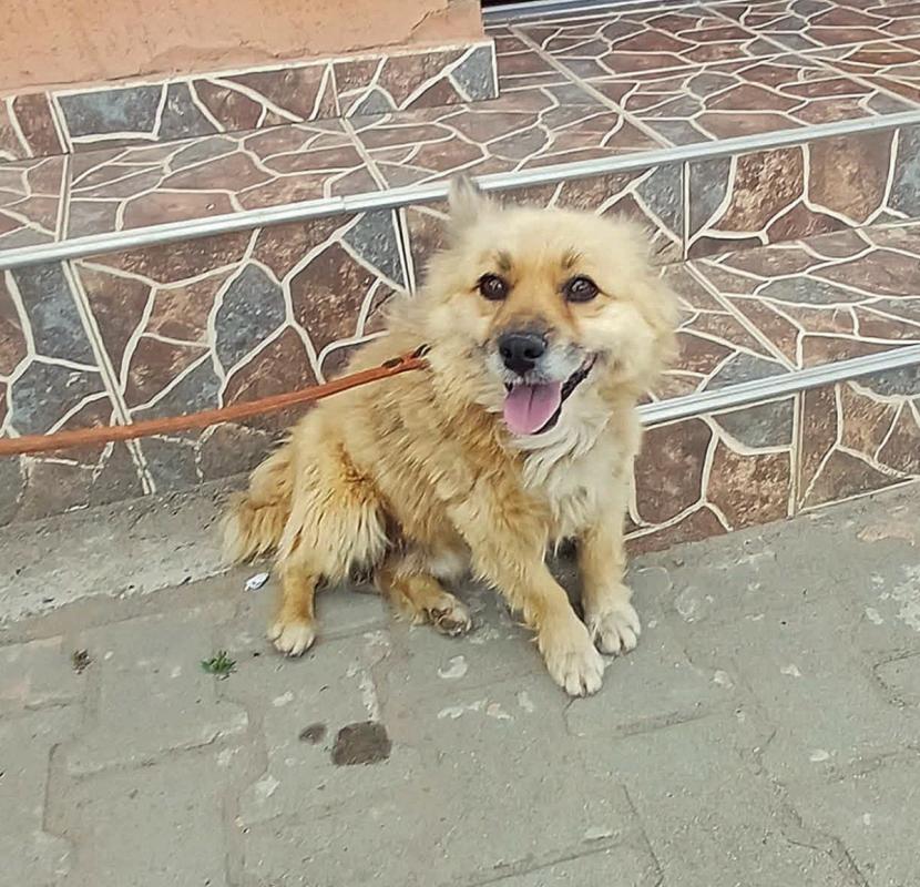 Ricky