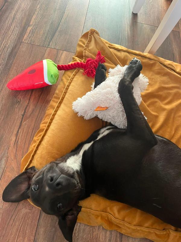 Milo