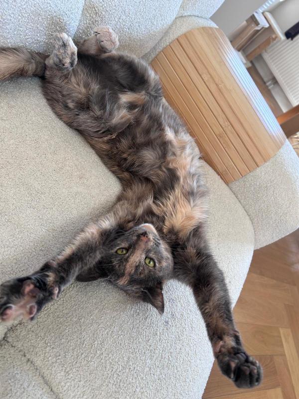 Pip