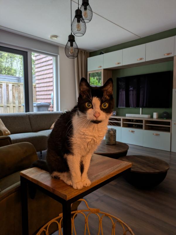 Milo