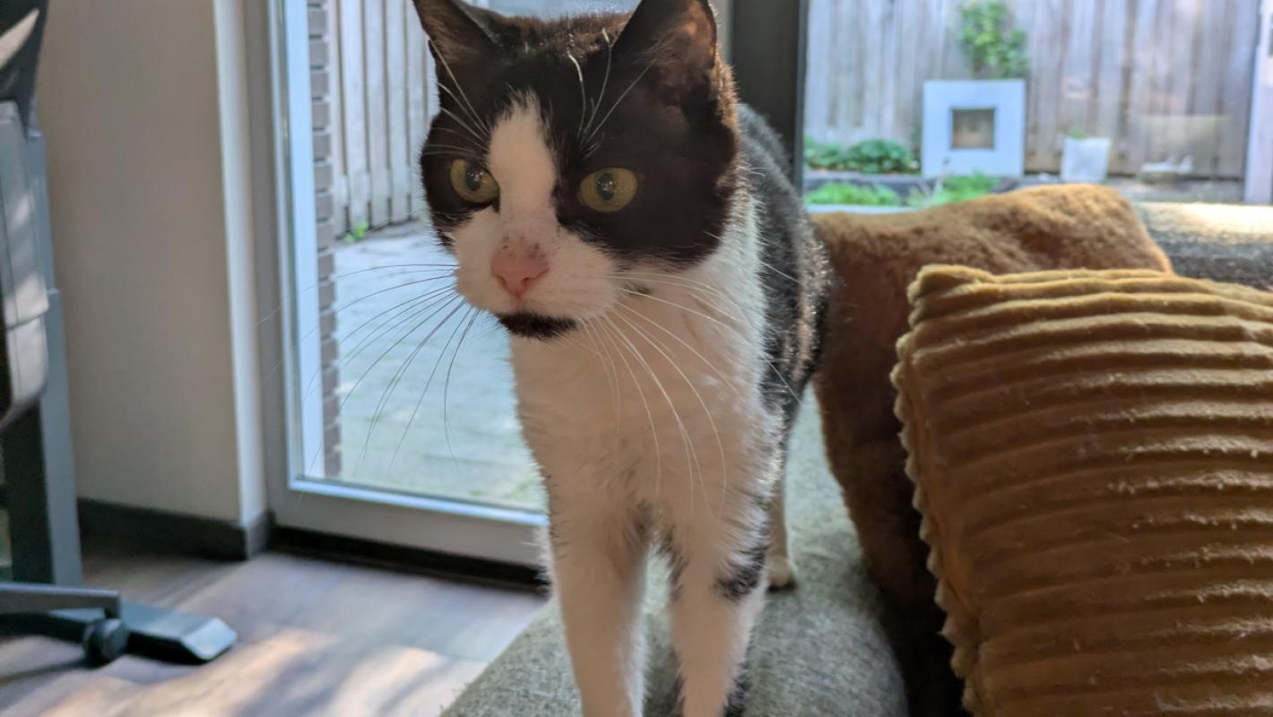 Milo