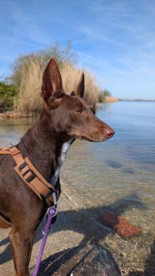 Tilda