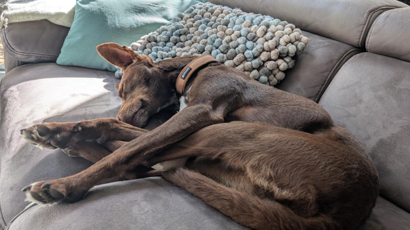 Tilda