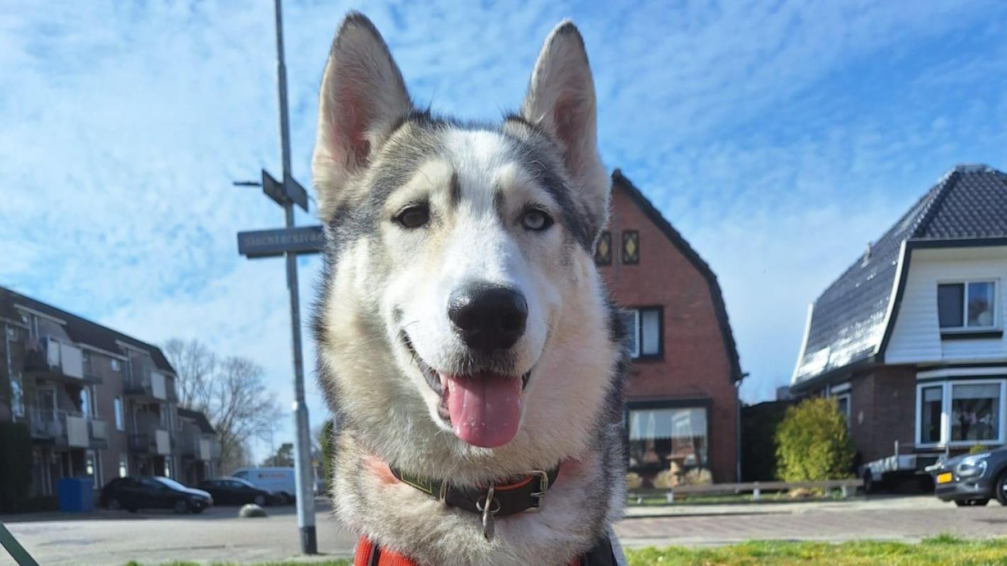 Luna