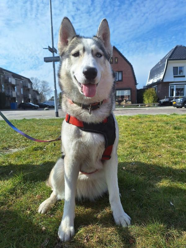 Luna