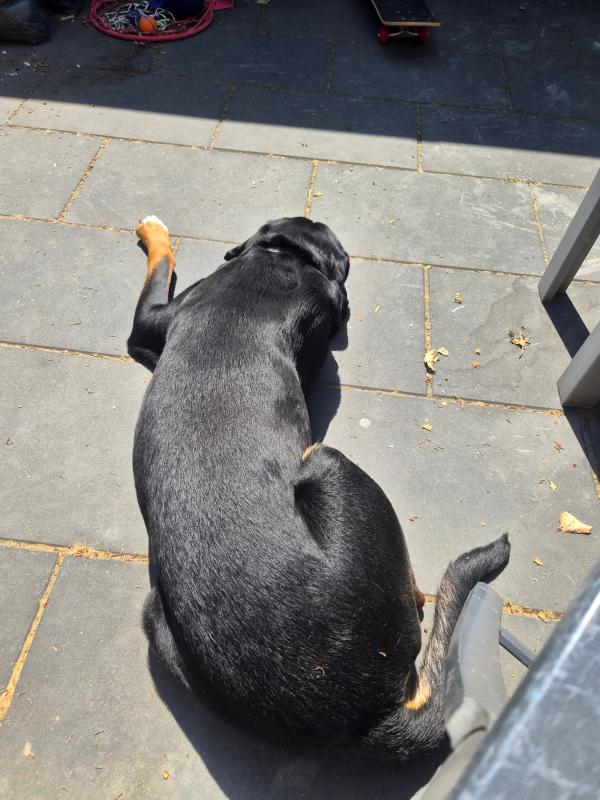 Milow