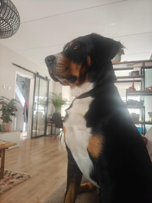 Milow