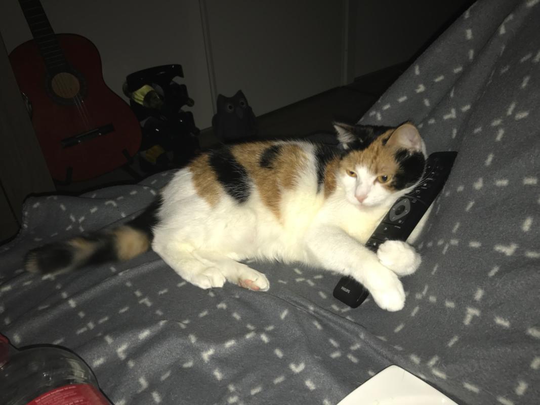 Luna