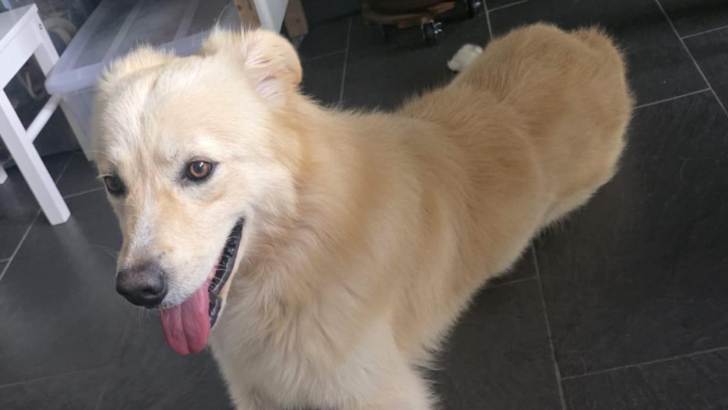 Coco