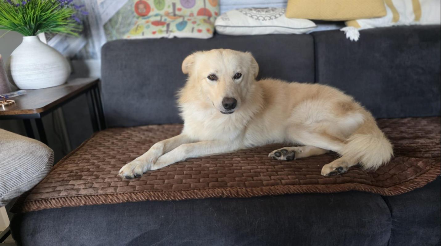 Coco