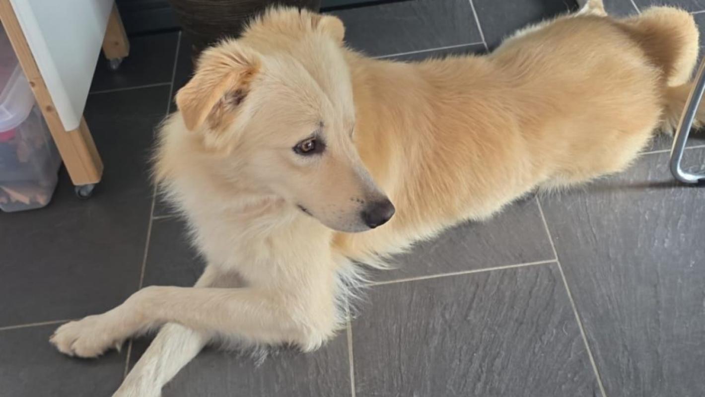 Coco