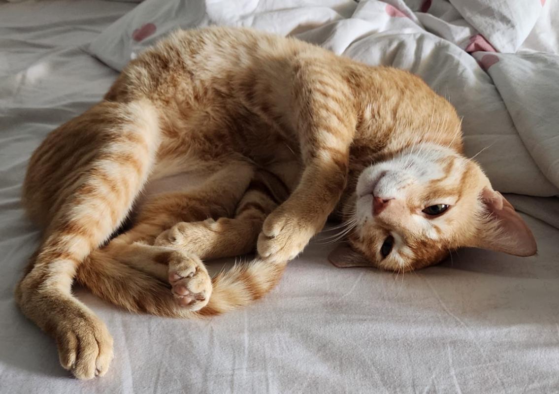 Rusty