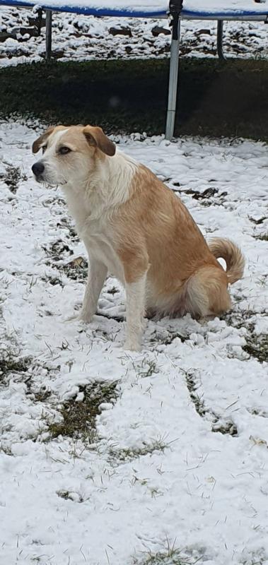 Sammy