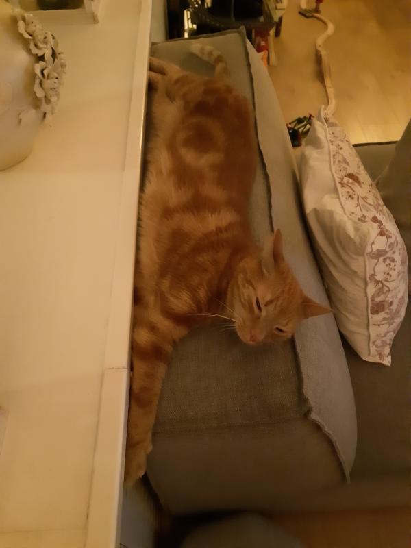 Sammie