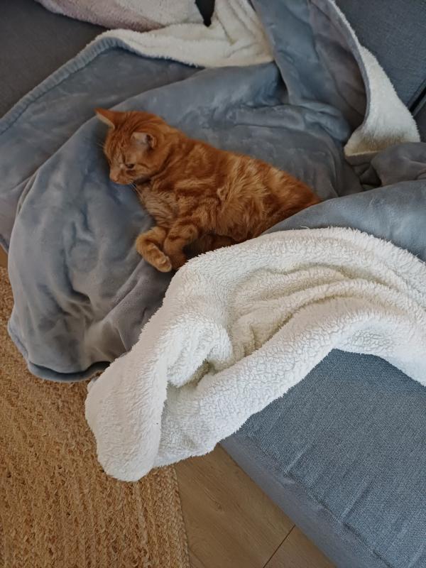 Sammie