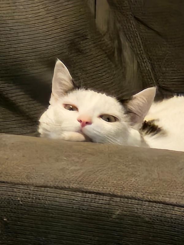 Kurt
