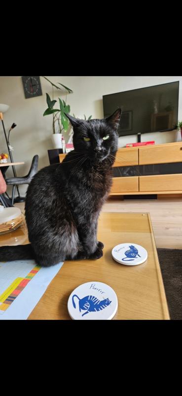 Kiko