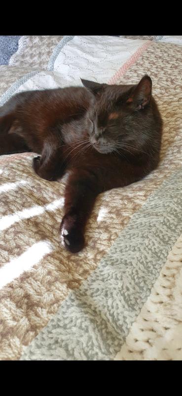 Kiko