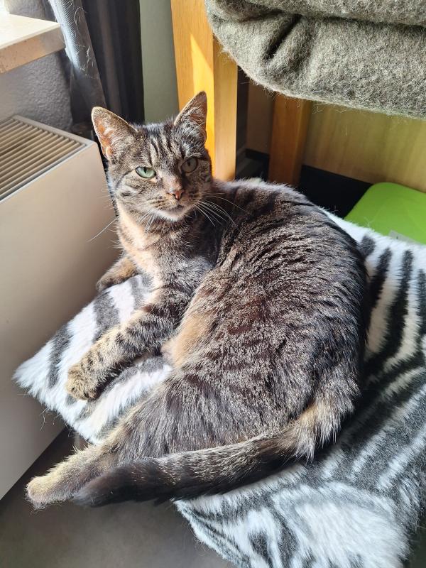 Milou