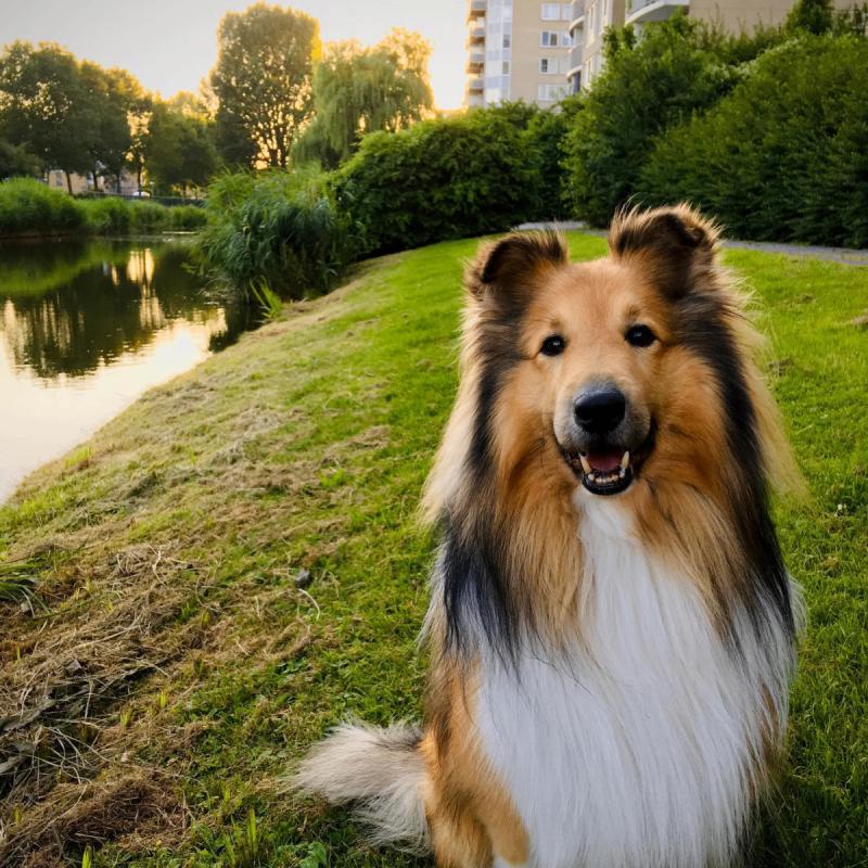 Egor
