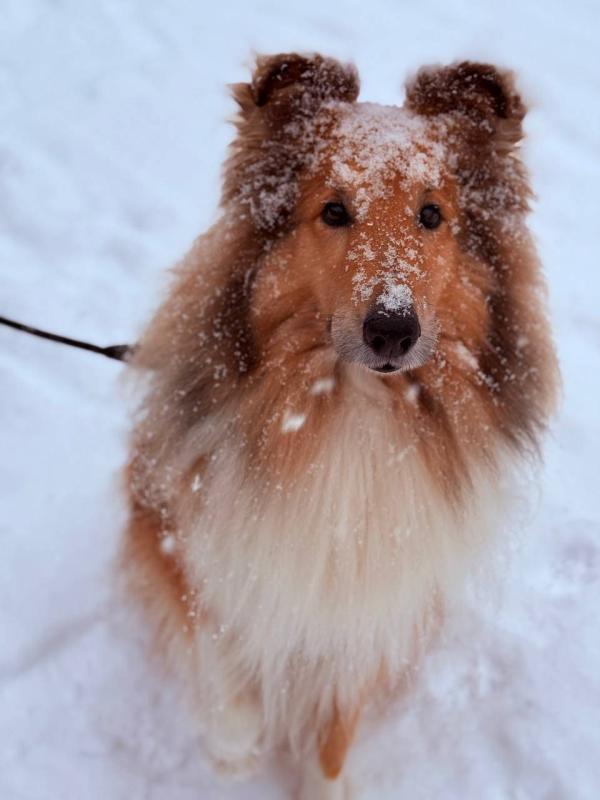 Egor