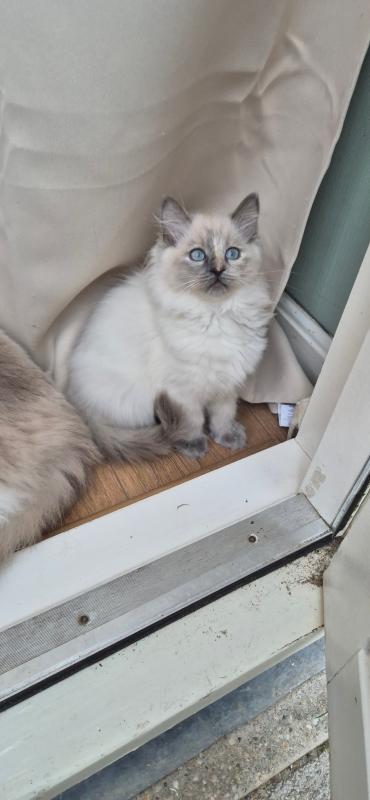 Yuki