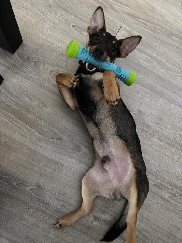 Jack