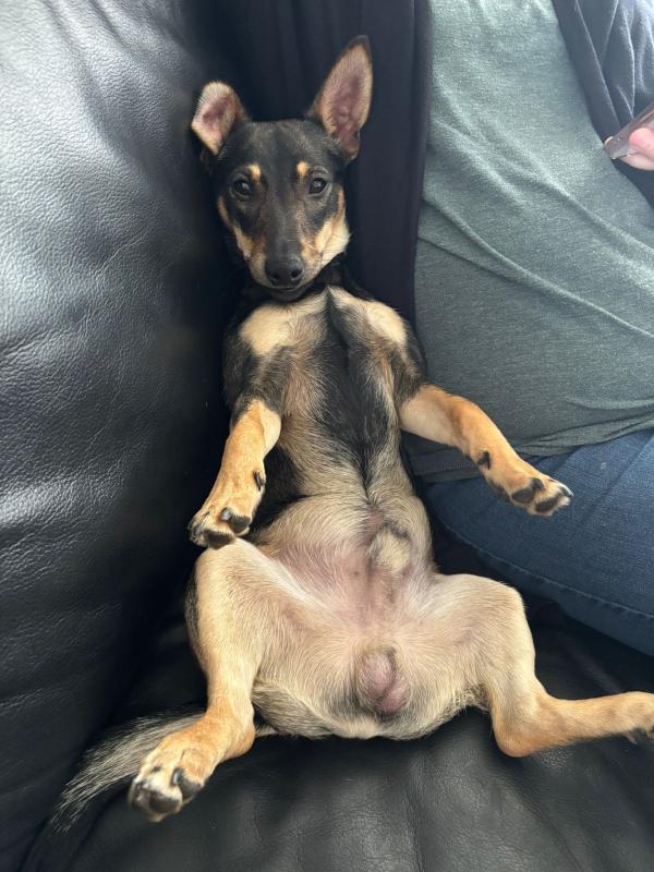 Jack