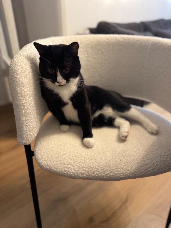 Mimi