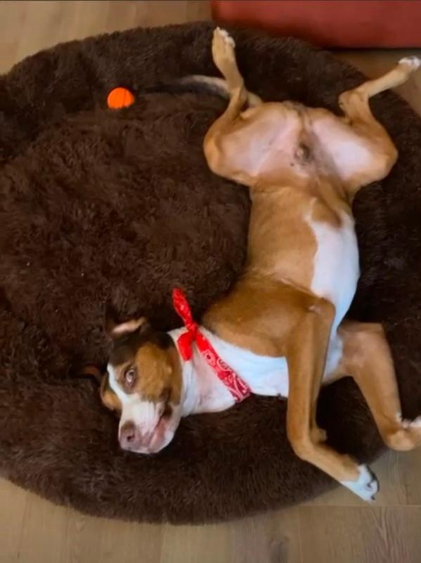 Milo